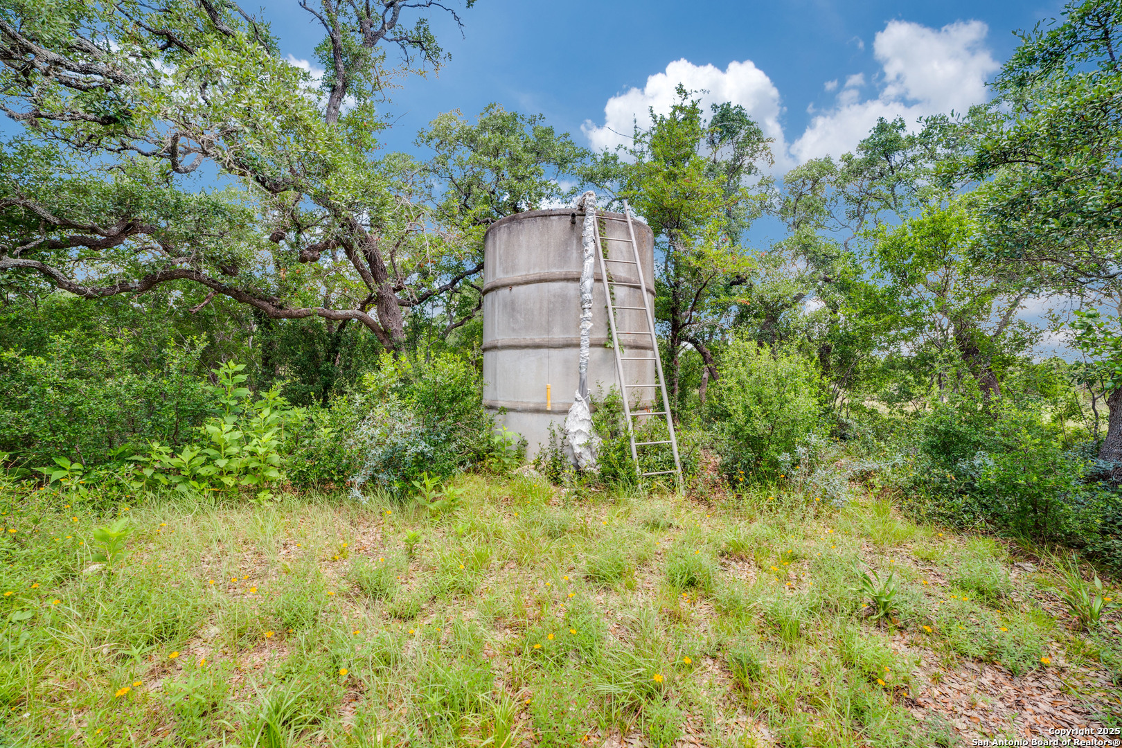 20892 Bluehill Pass