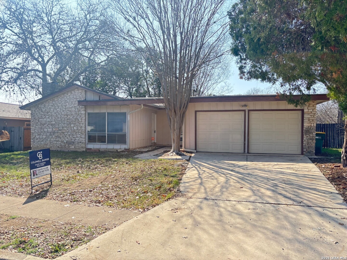 538 Shin Oak