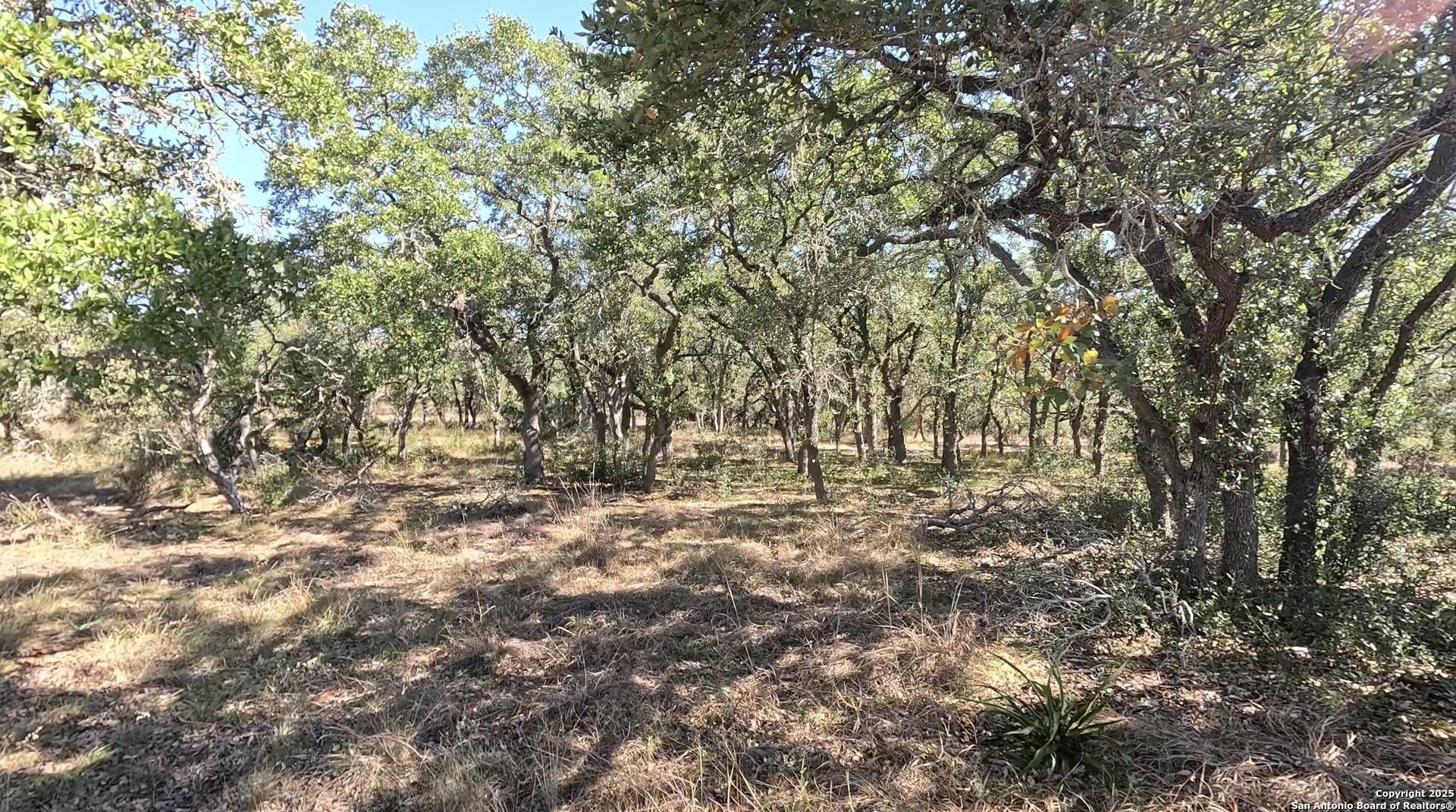 34672 Ansley Ridge