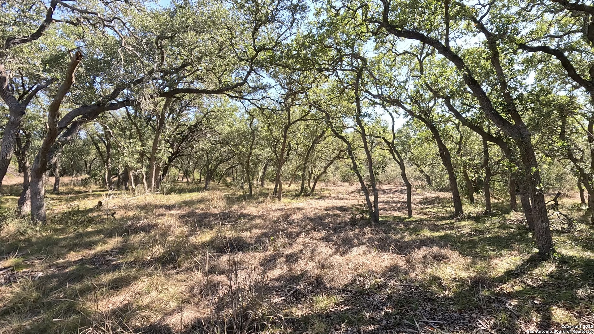 34672 Ansley Ridge