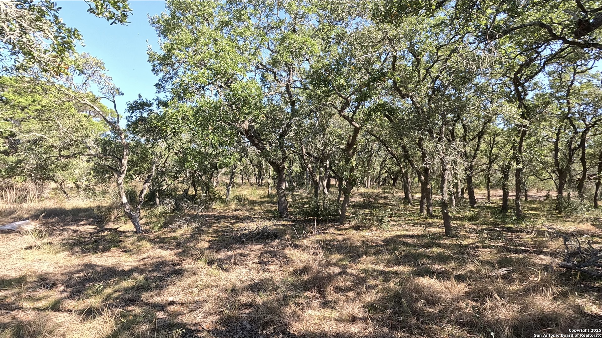34672 Ansley Ridge