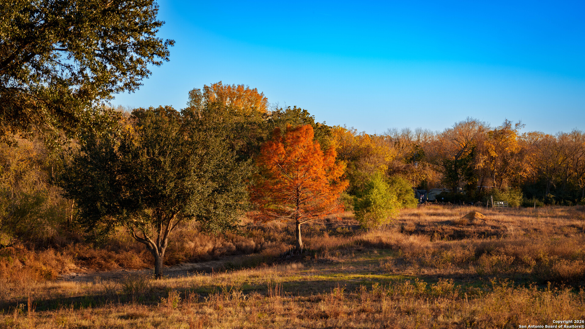 163 County Road 283