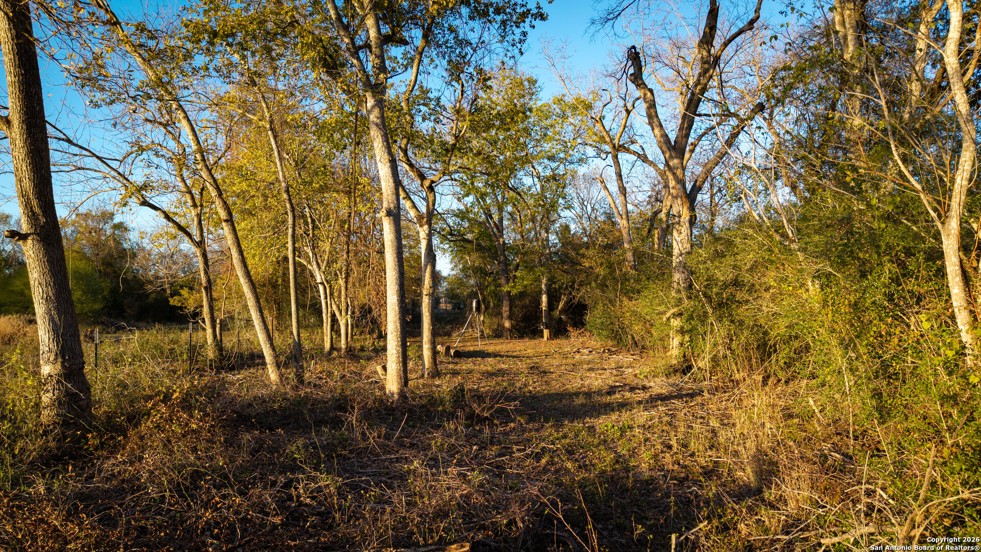 163 County Road 283