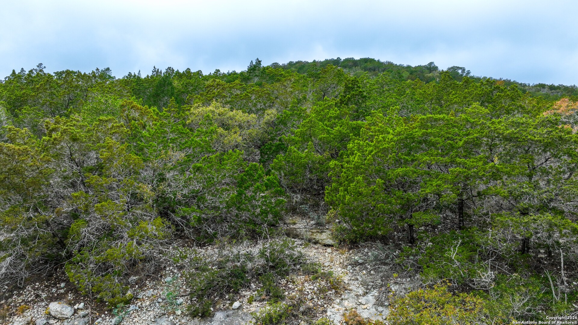 LOT 13 Wild Canyon Ranch Phase 1