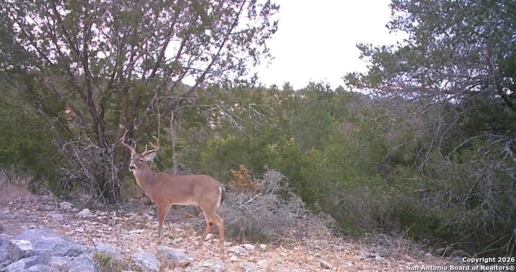 LOT 13 Wild Canyon Ranch Phase 1