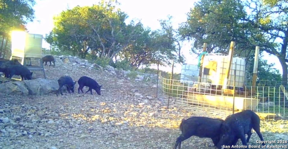 LOT 13 Wild Canyon Ranch Phase 1