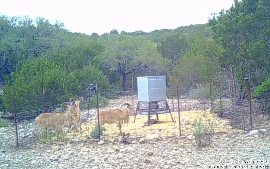 LOT 13 Wild Canyon Ranch Phase 1