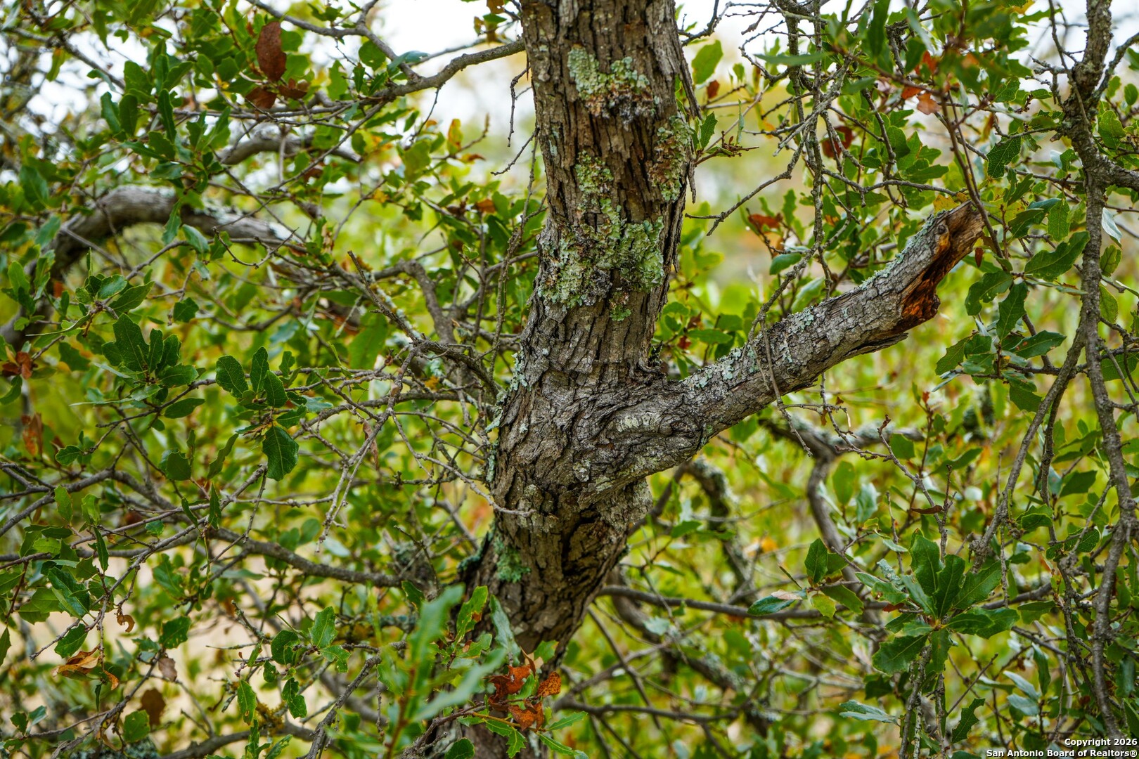 LOT 13 Wild Canyon Ranch Phase 1