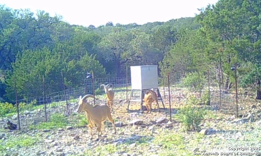 LOT 13 Wild Canyon Ranch Phase 1