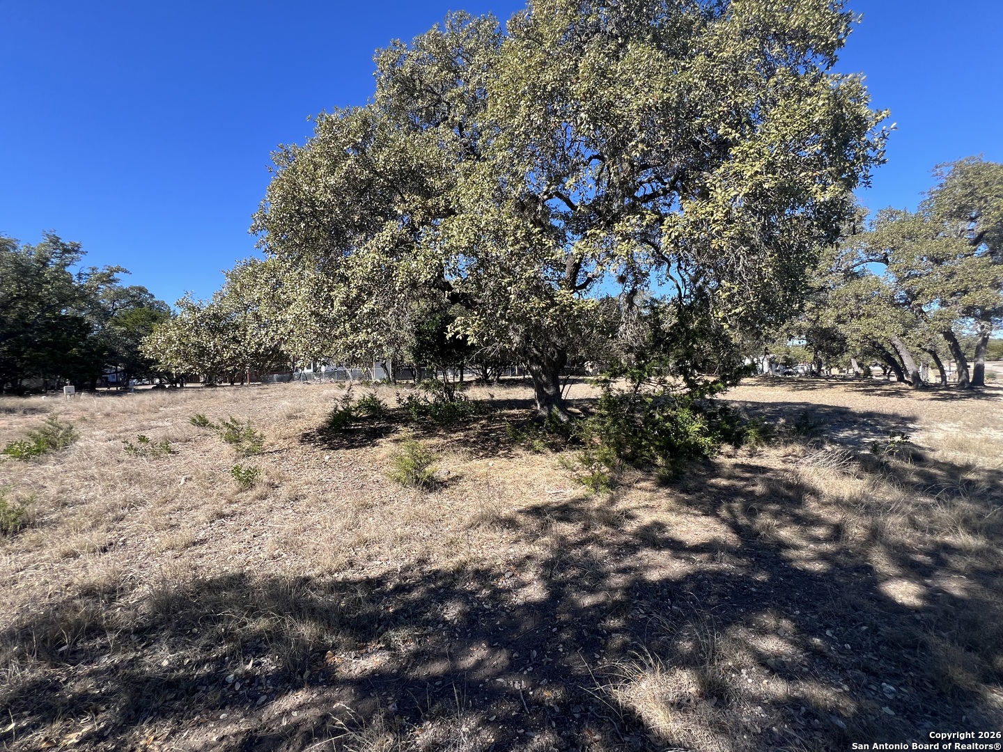 LOT 44 Pr 1508