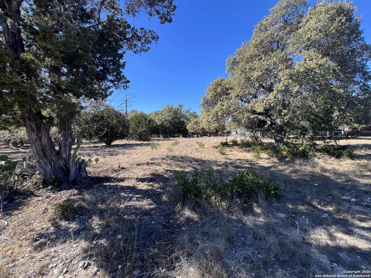 LOT 44 Pr 1508