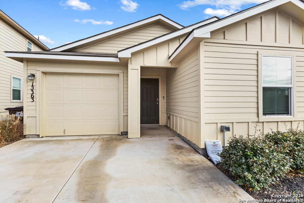 15363 Brown Violetear