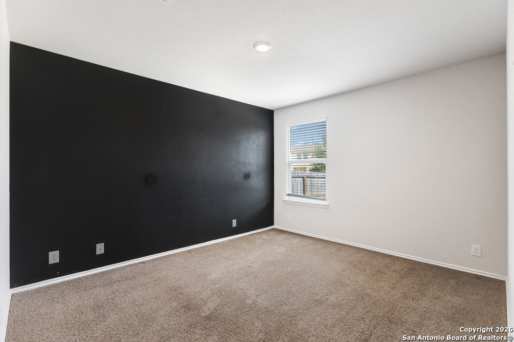 15363 Brown Violetear