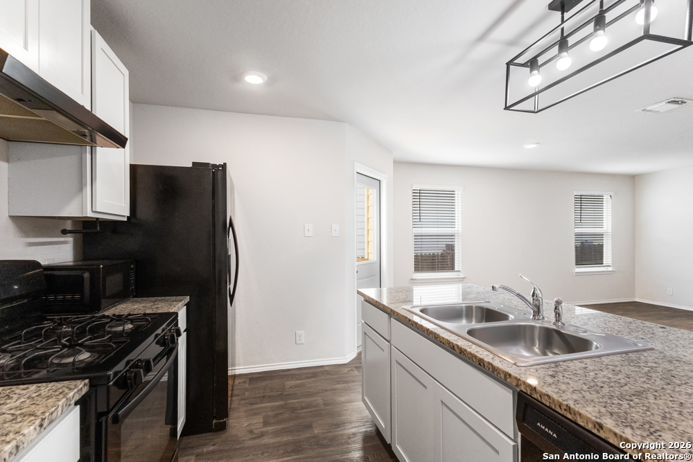 15363 Brown Violetear