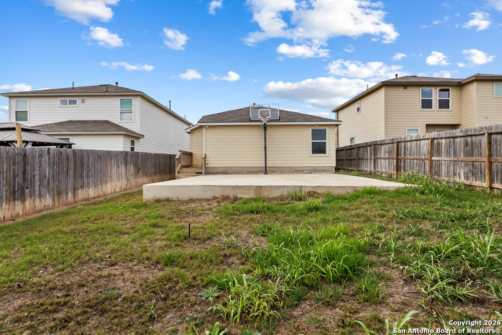 15363 Brown Violetear