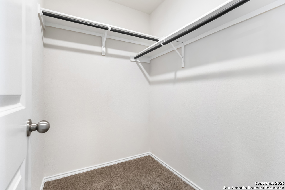 15363 Brown Violetear