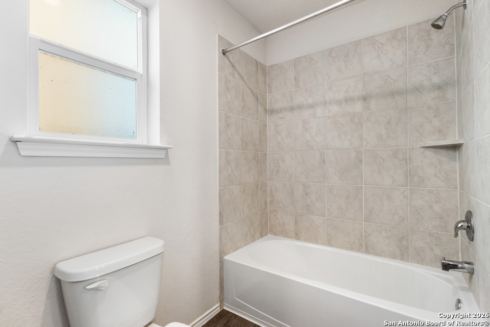 15363 Brown Violetear