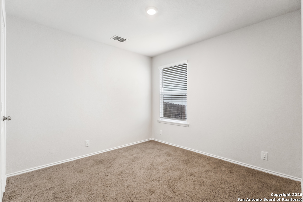 15363 Brown Violetear