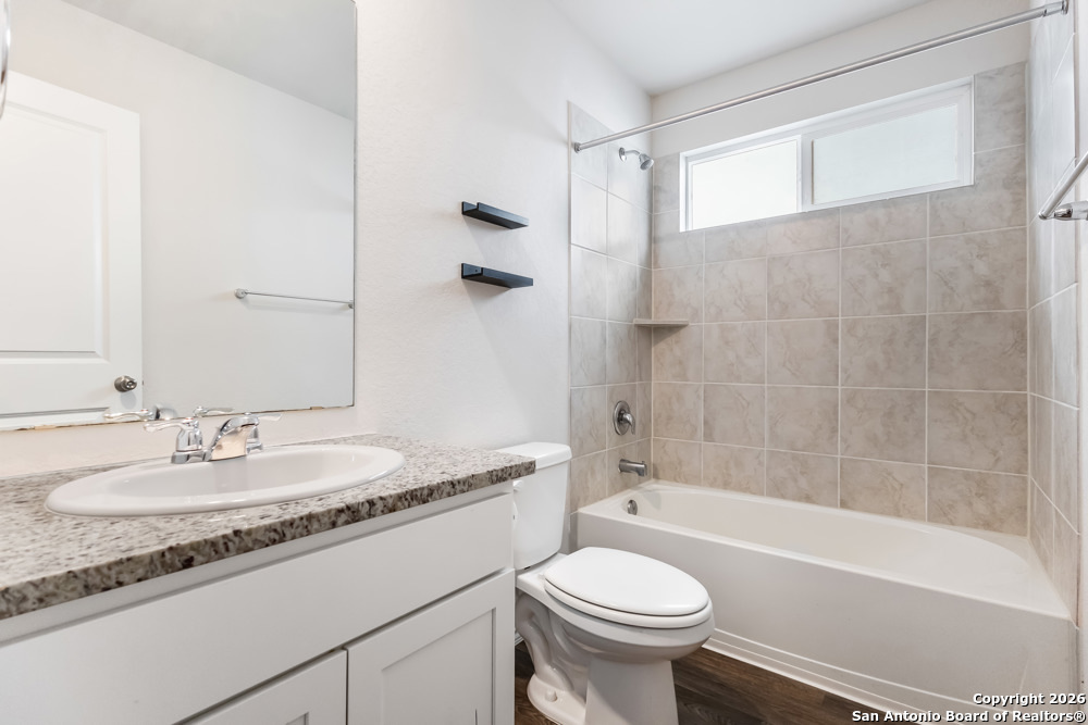 15363 Brown Violetear