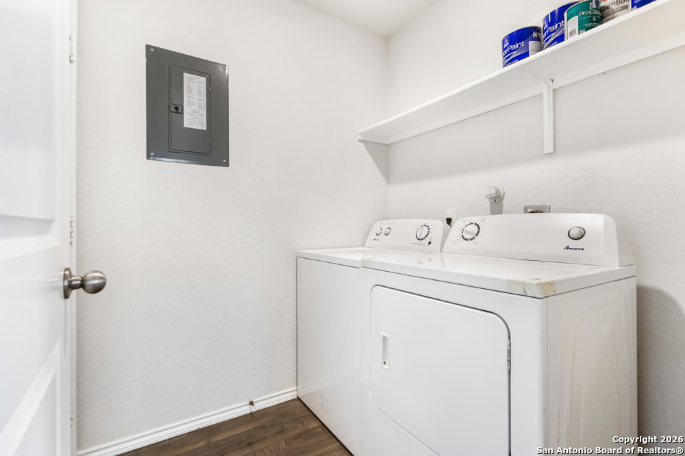 15363 Brown Violetear