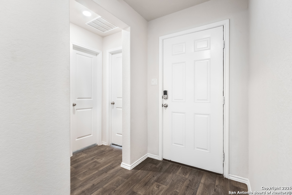 15363 Brown Violetear