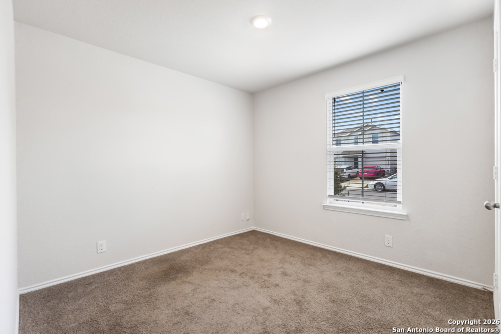 15363 Brown Violetear