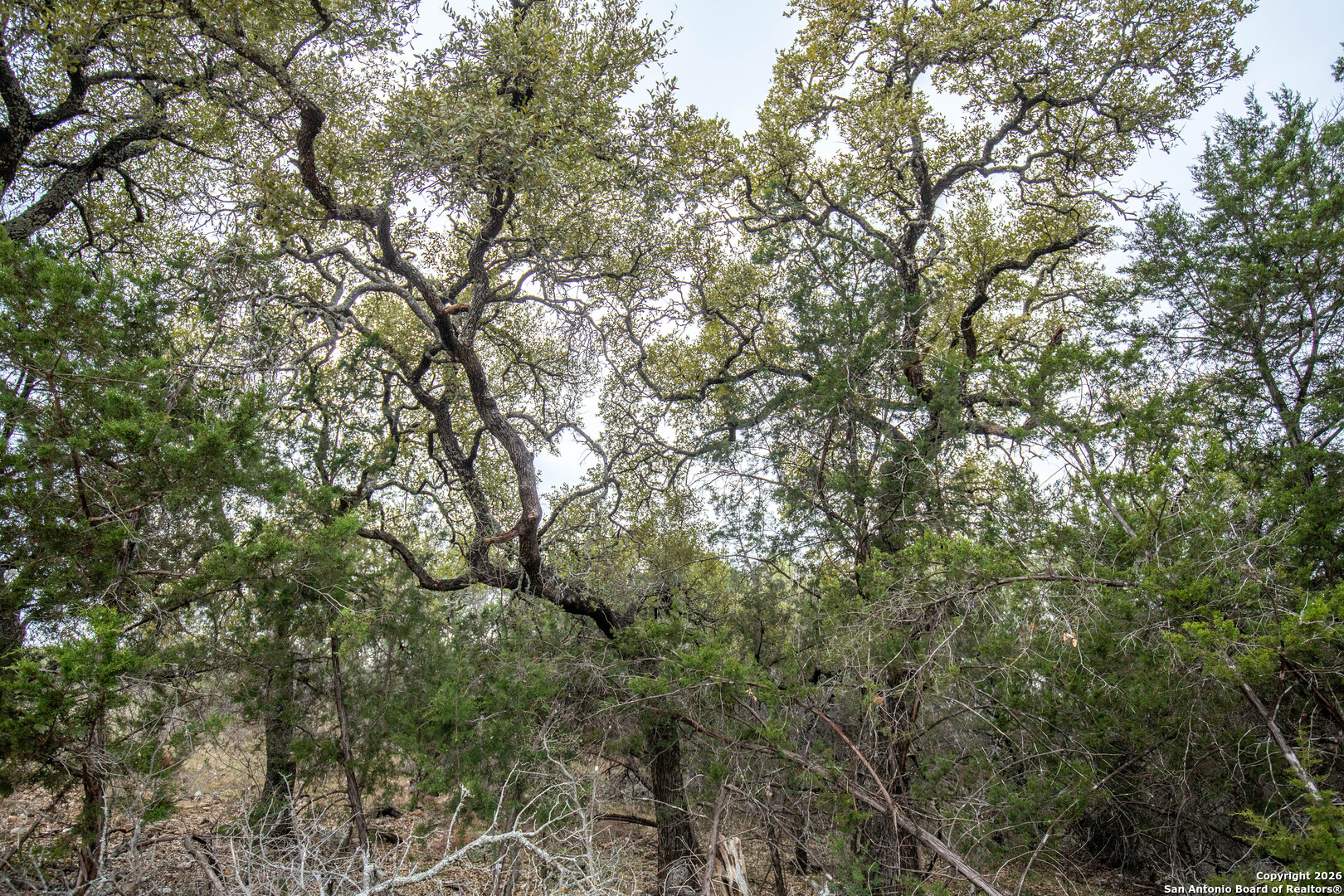 LOT 94 Hidden Cove