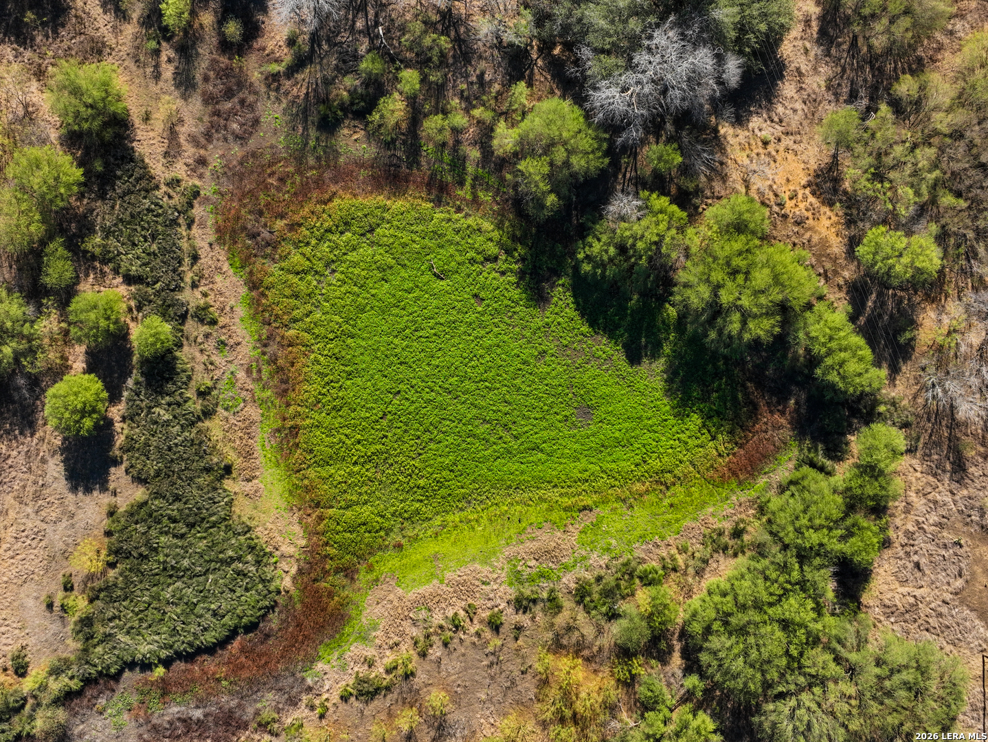 +/- 32.04 ACRES Bluntzer