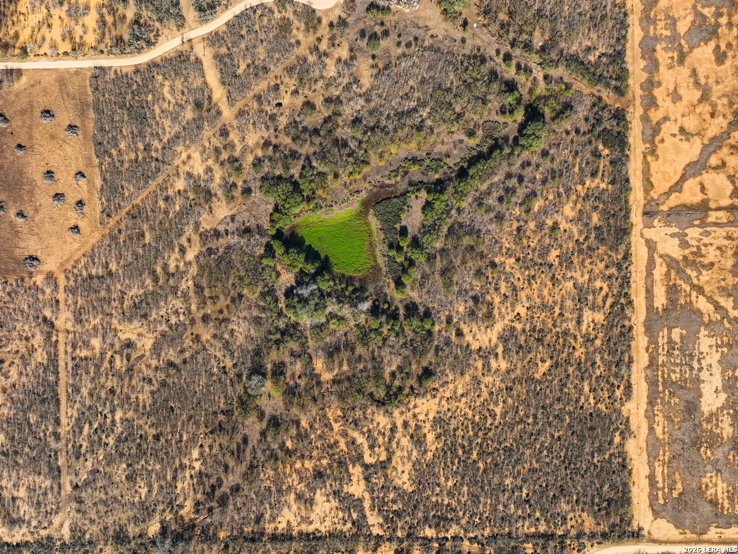 +/- 32.04 ACRES Bluntzer