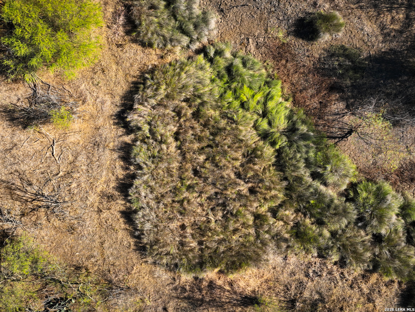 +/- 32.04 ACRES Bluntzer