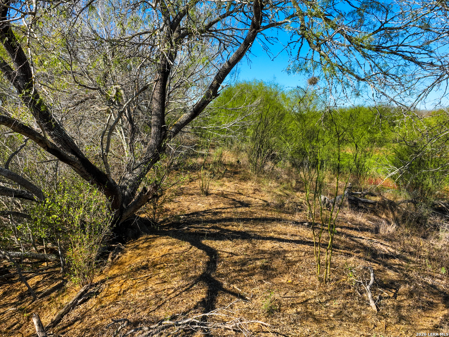 +/- 32.04 ACRES Bluntzer