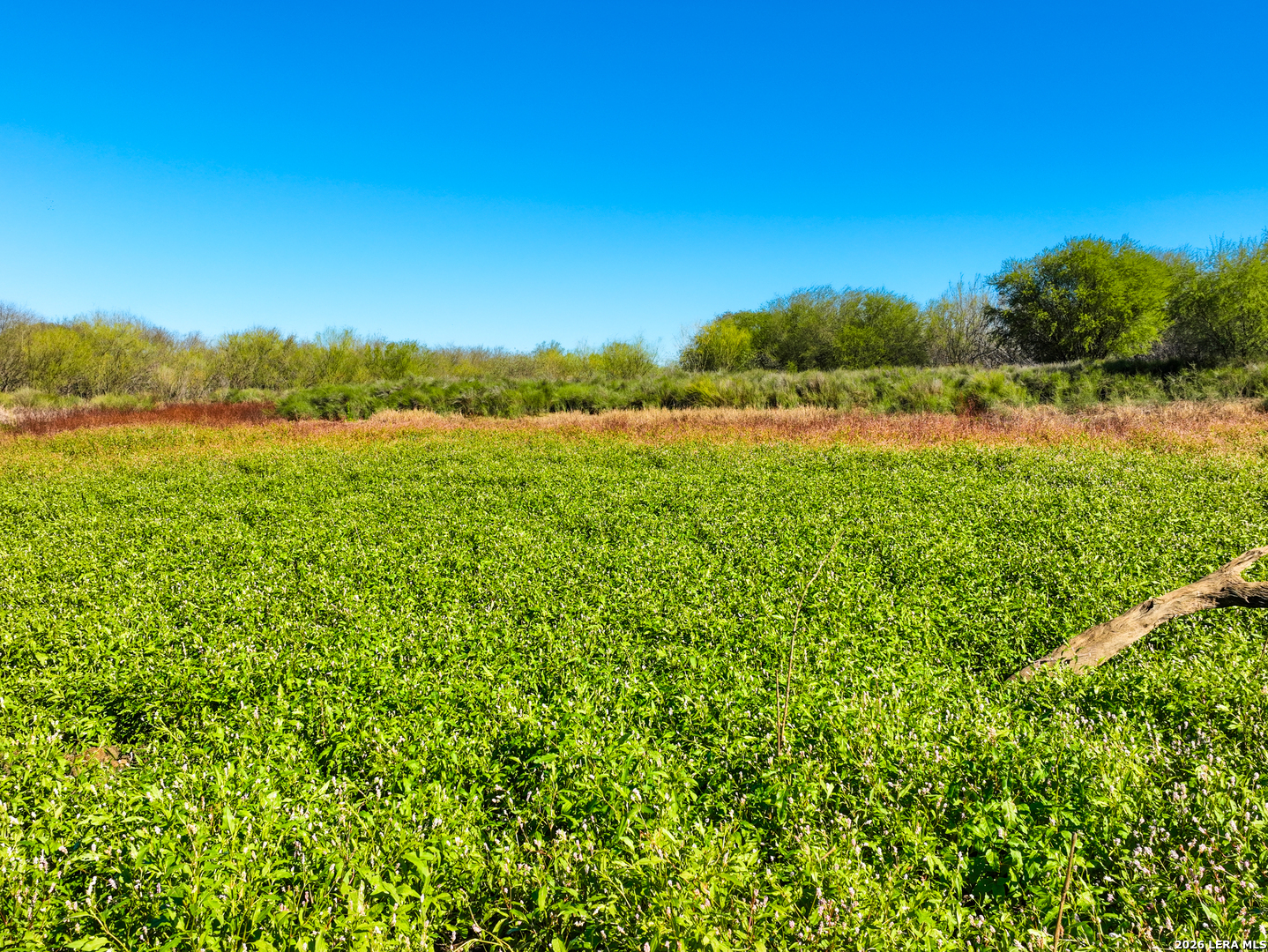 +/- 32.04 ACRES Bluntzer