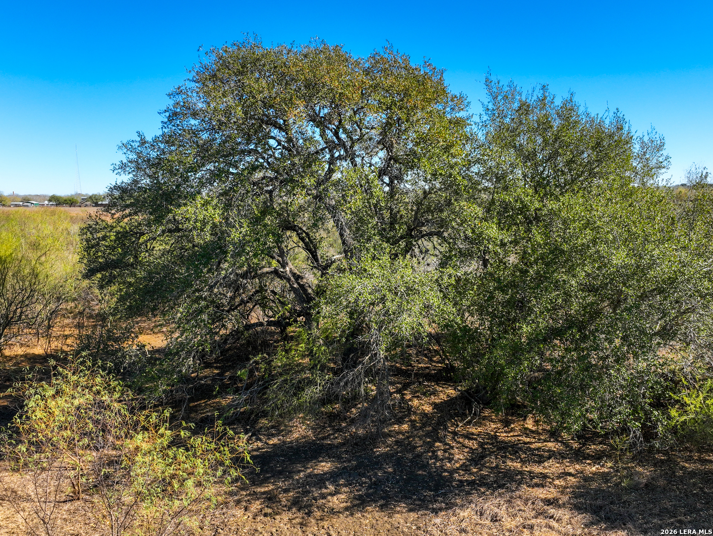 +/- 32.04 ACRES Bluntzer