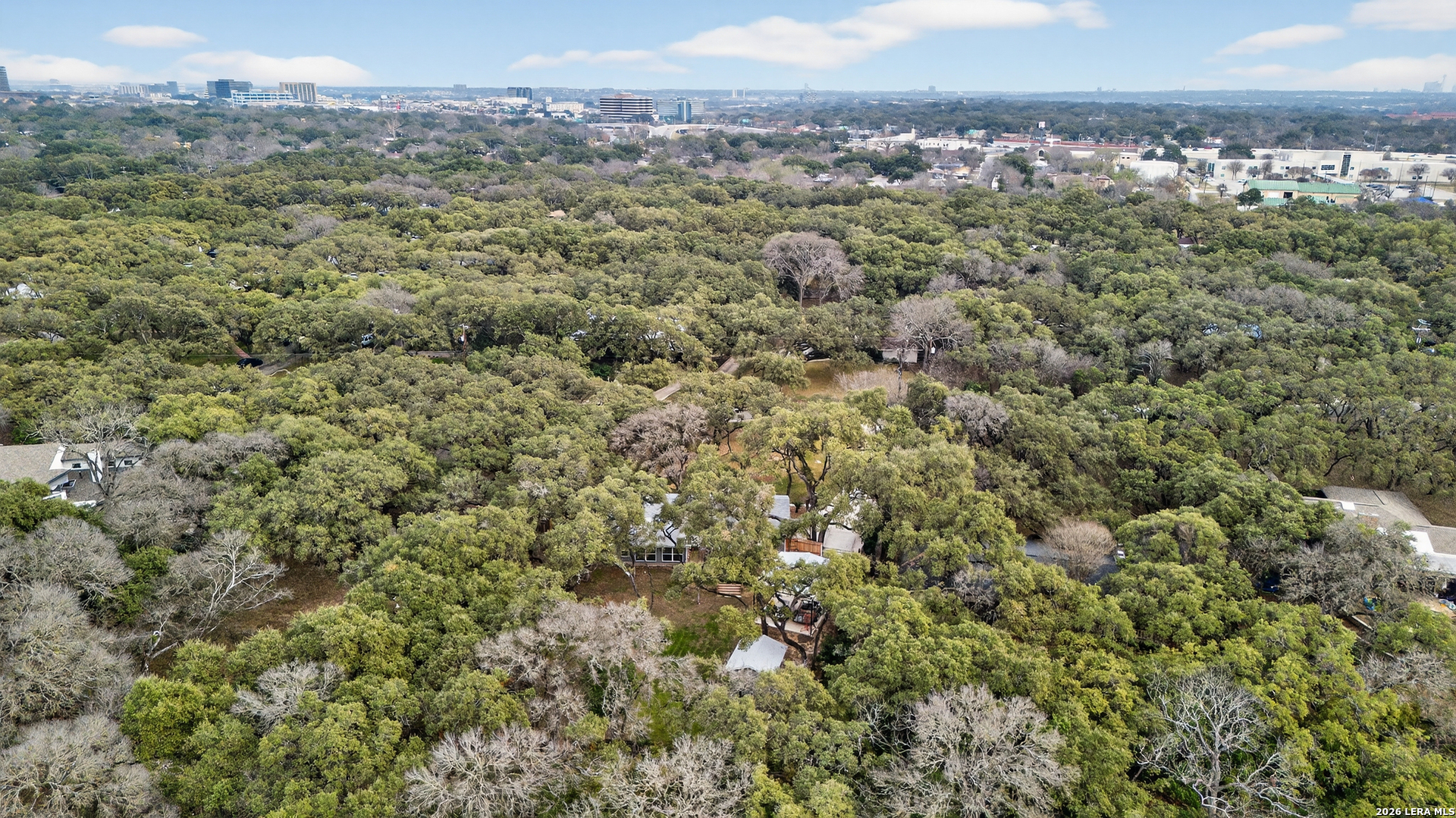 207 Zornia Dr.