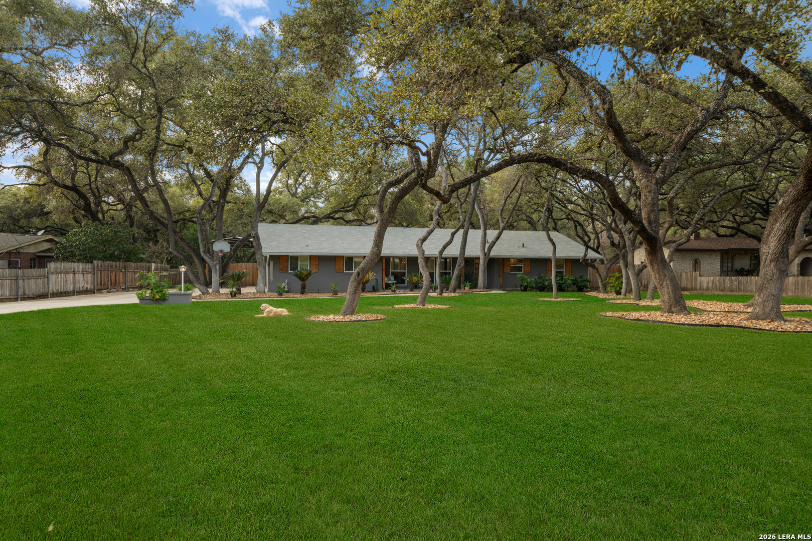 207 Zornia Dr.