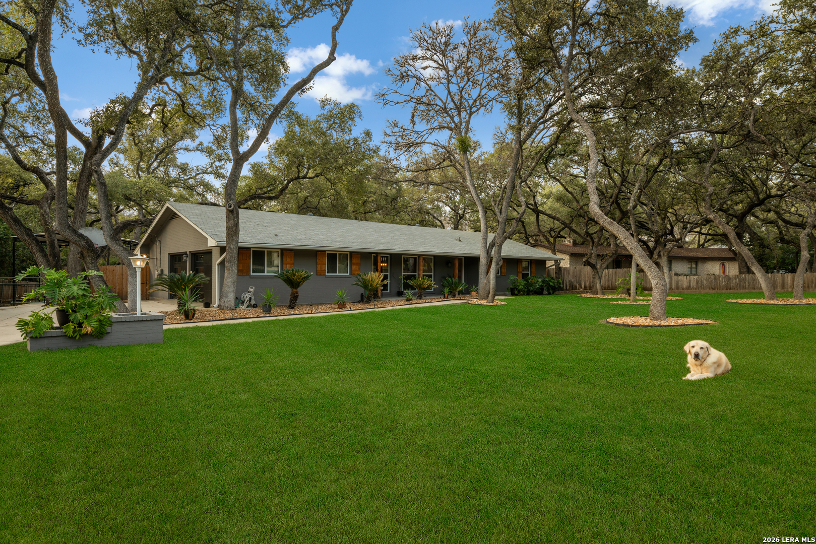 207 Zornia Dr.