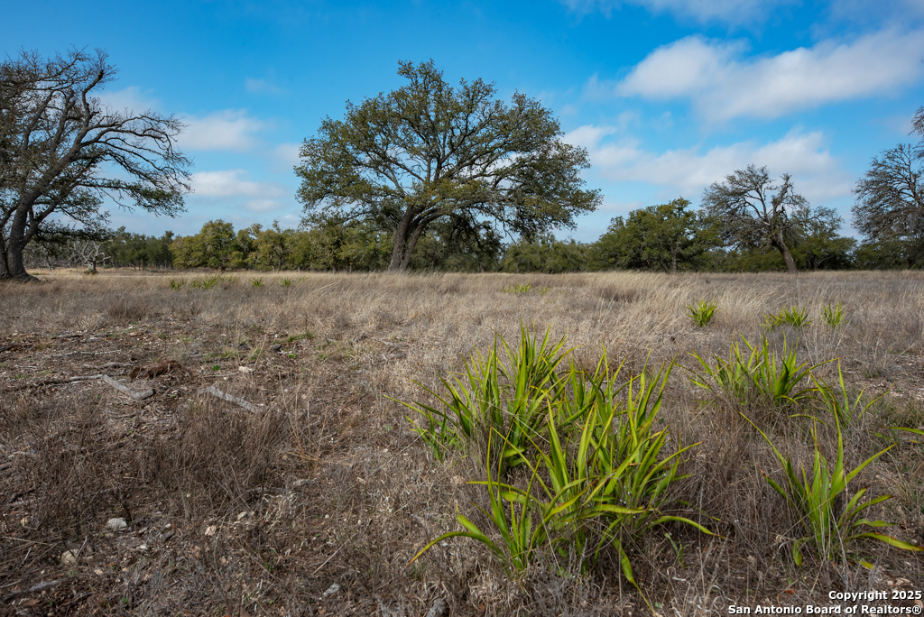 0 Fiedler Rd Off S Ranch Rd 783