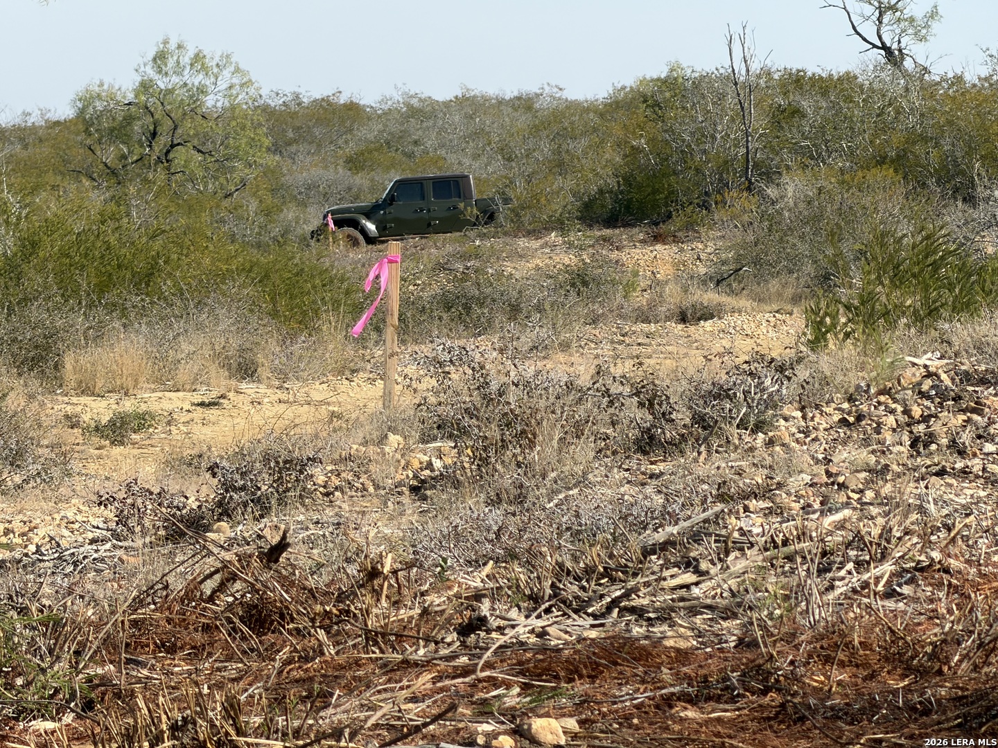 TBD CR 2537/Moore Hollow Road