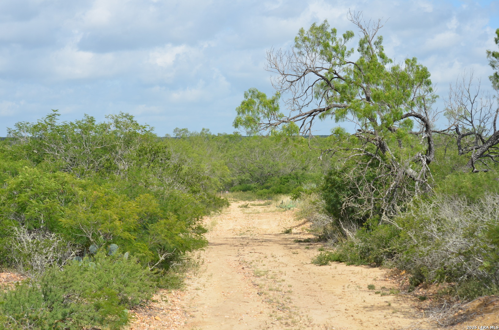 TBD CR 2537/Moore Hollow Road