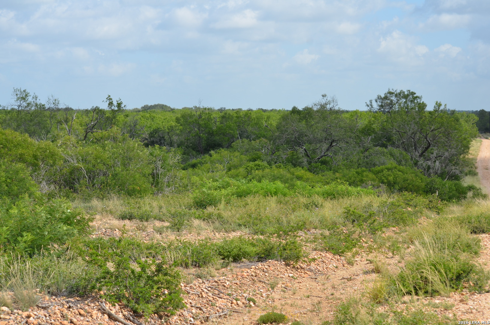 TBD CR 2537/Moore Hollow Road
