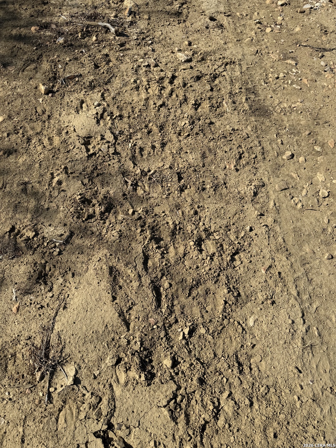 TBD CR 2537/Moore Hollow Road