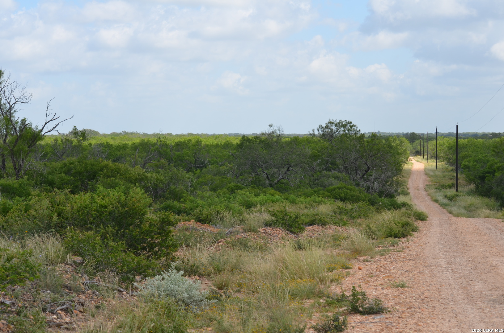 TBD CR 2537/Moore Hollow Road