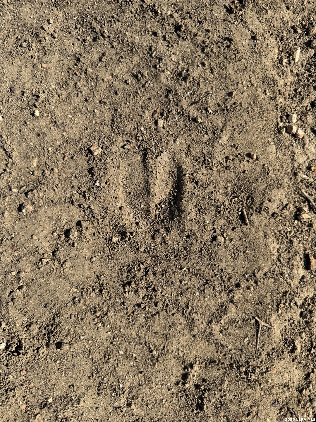 TBD CR 2537/Moore Hollow Road