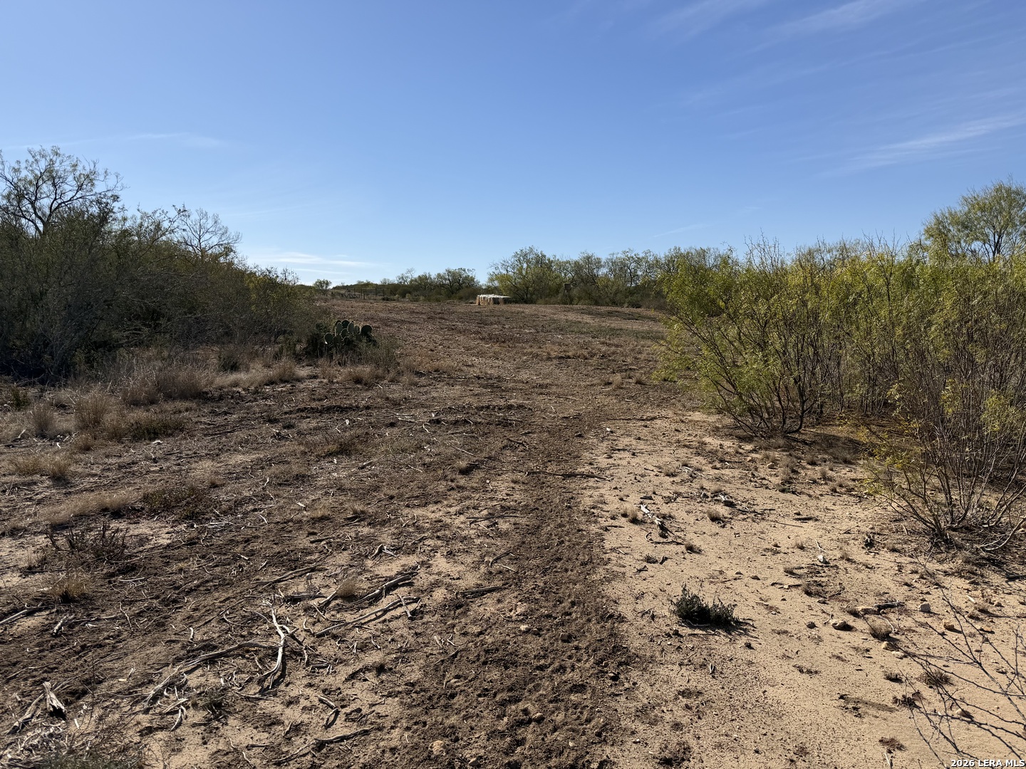 TBD CR 2537/Moore Hollow Road