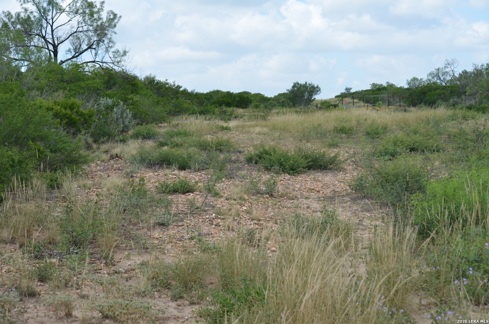 TBD CR 2537/Moore Hollow Road