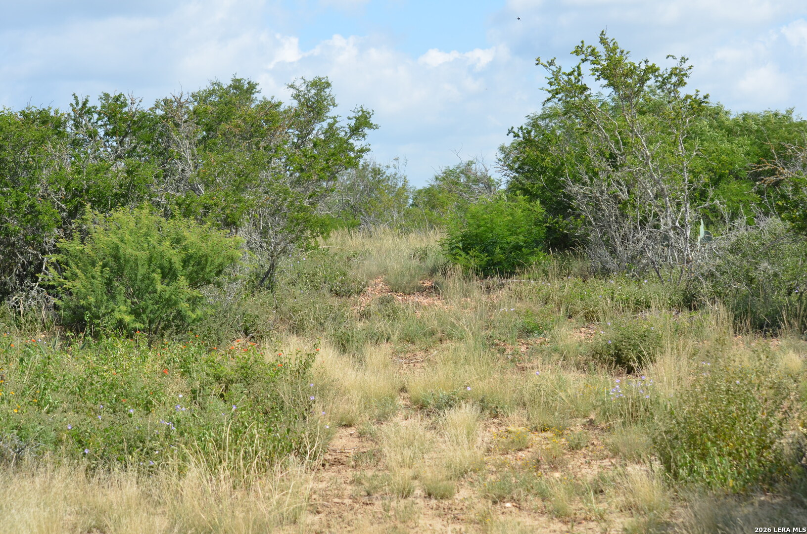 TBD CR 2537/Moore Hollow Road