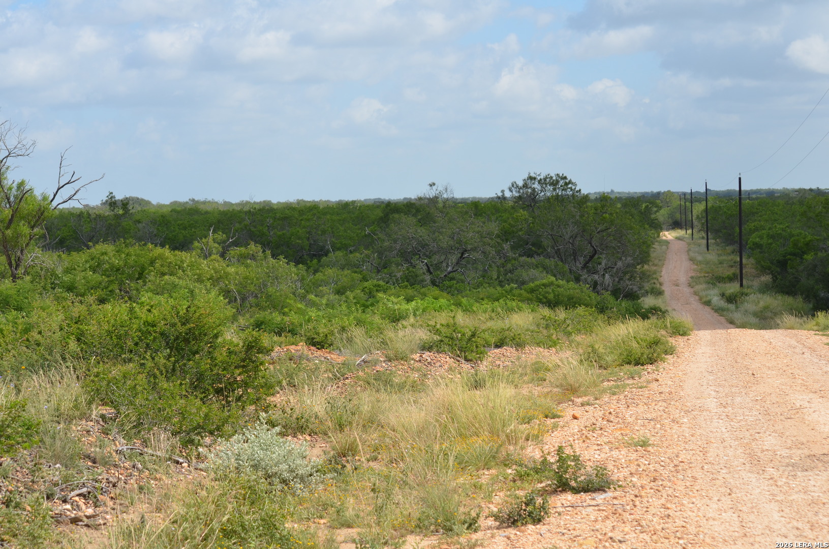 TBD CR 2537/Moore Hollow Road