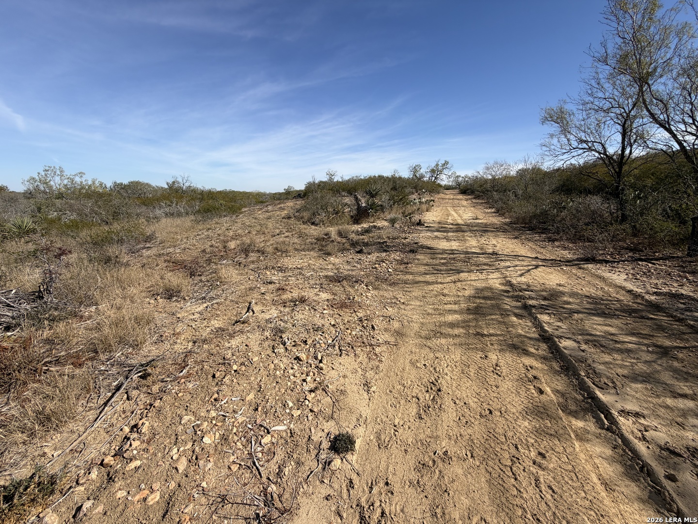 TBD CR 2537/Moore Hollow Road