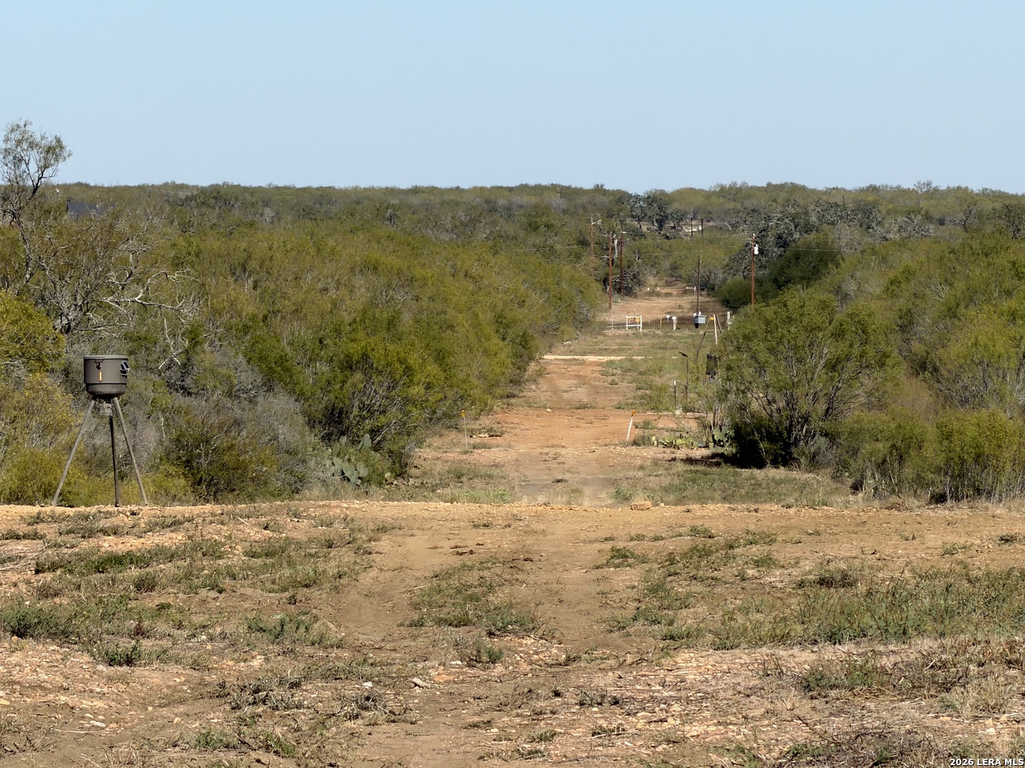 TBD CR 2537/Moore Hollow Road