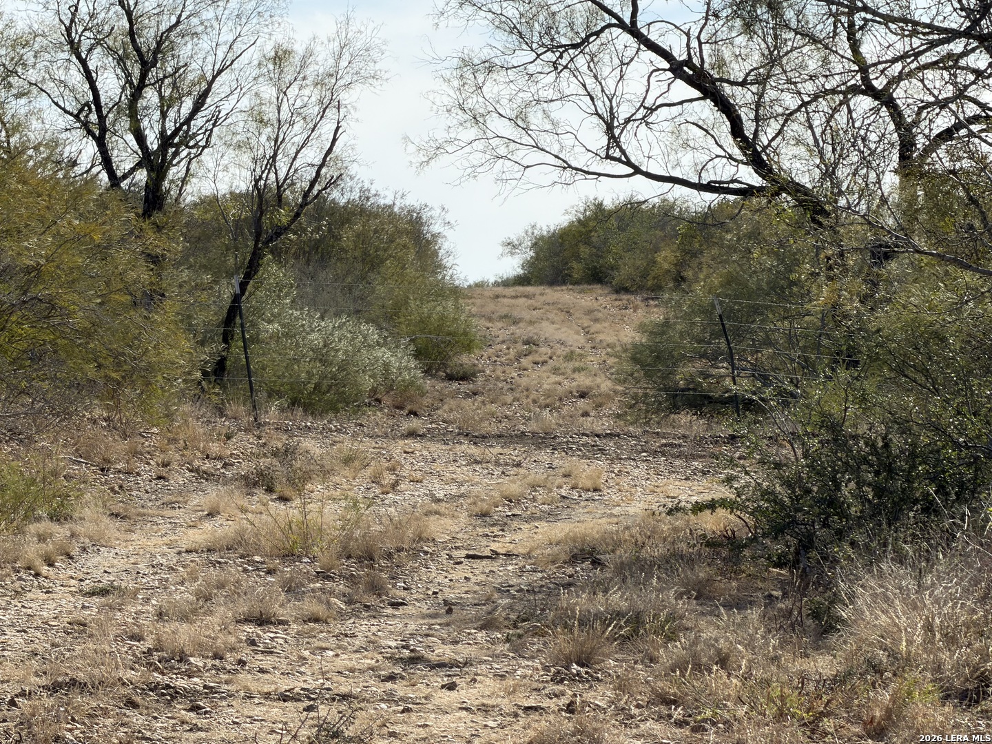 TBD CR 2537/Moore Hollow Road